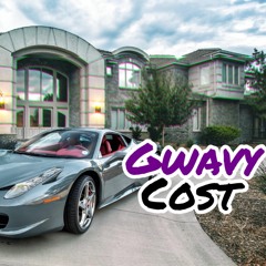 Gwavy - Cost