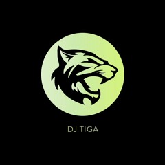 DJ TiGa - I Want You Back