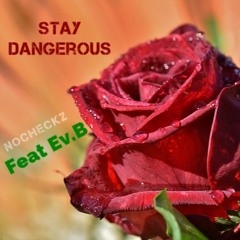 Stay Dangerous Feat. Ev.B (Prod. By LarryMakinAllTheHits)