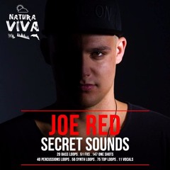 Joe Red Secret Sounds