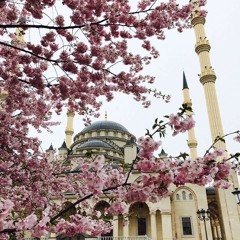 Sami Yusuf