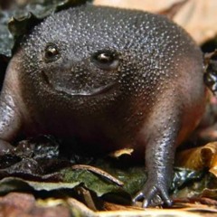 Alicia Comes To Electric Dreams Mix