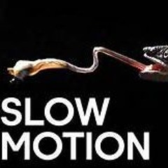 Slow Motion!!!