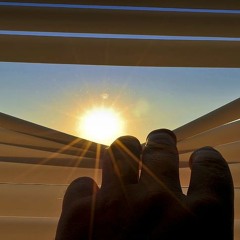 No More Lonely Nights