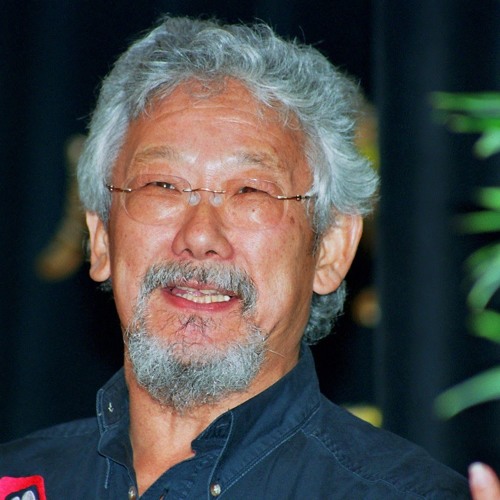 David bottoms biography picture