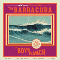 The Barracuda