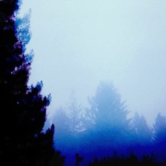 Ashes to Ashes Freestyle (feat Jelly)