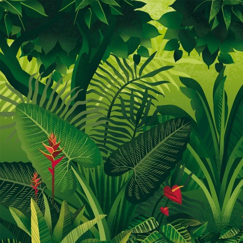 Jungle