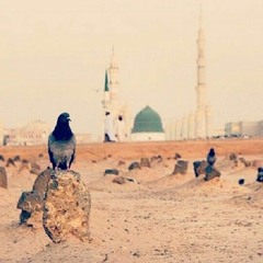 Ae Bayaban-e-Arab Teri Baharon Ko Salam