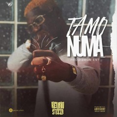 TamuNuma