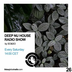 Ibiza Global Radio - Deep Nu House by SO&SO Episode 026