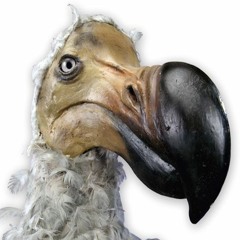 The Dodo Preservation Society