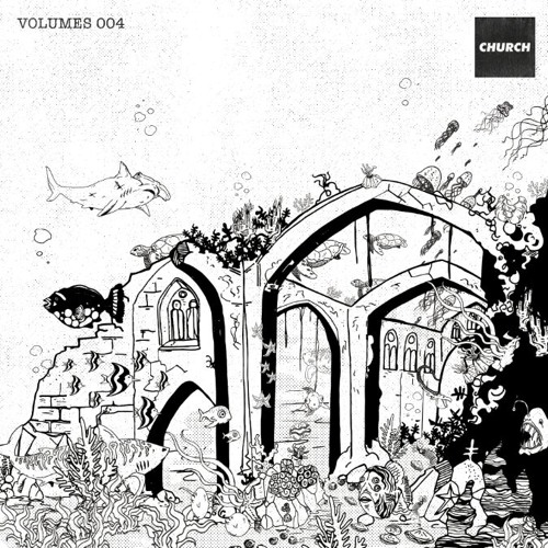 igor b - turtle cove