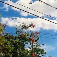 NÃO EXISTE SUCESSO NO UNDERGROUND/LOUCO (prod. AMILCAR FILHO)