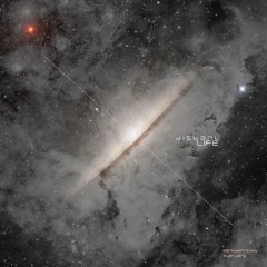 Distant Life (Album Version)