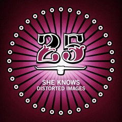She Knows feat. Max van Dusen & Cid Travaglia - Non Sense
