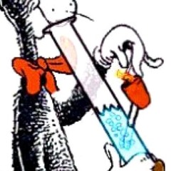 618 - SWGWM X JoaGymshoe - Dr. Leupss