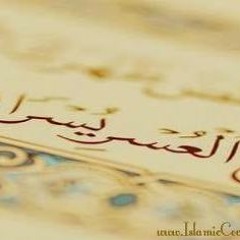 السيدسعيد.سورة الرحمن