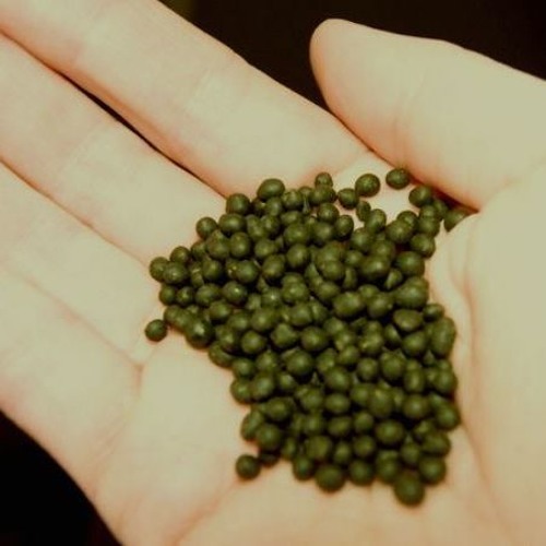 классический насвай