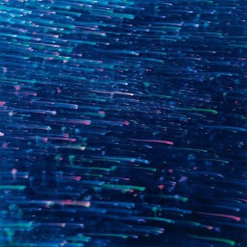 qloo -  waves