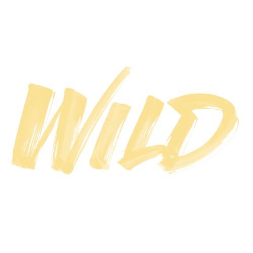 ✅DJ TOROMAX  -  Wild  -  Silento [Free Download] ✅