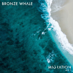 Migration Mix 1