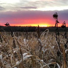 This Is Living (Hillsong Y&F Acoustic Cover) - Ft. Rebekah Ostermann