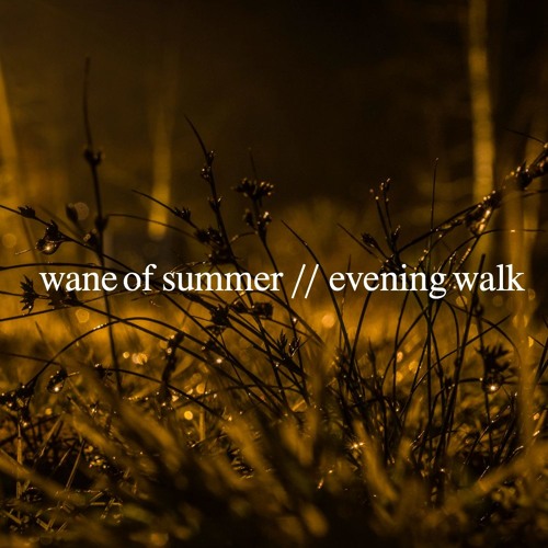 Evening Walk