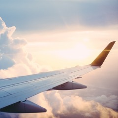 Flight
