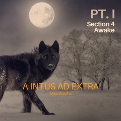 A Intus Ad Extra - Part I - Section 4 (Awake)