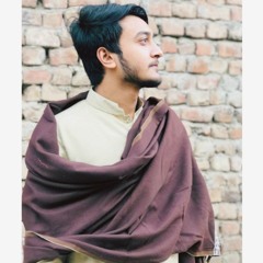 Sajjna Je Sambhall Gya Prabh Gill.mp3