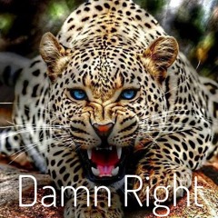 Damn Right