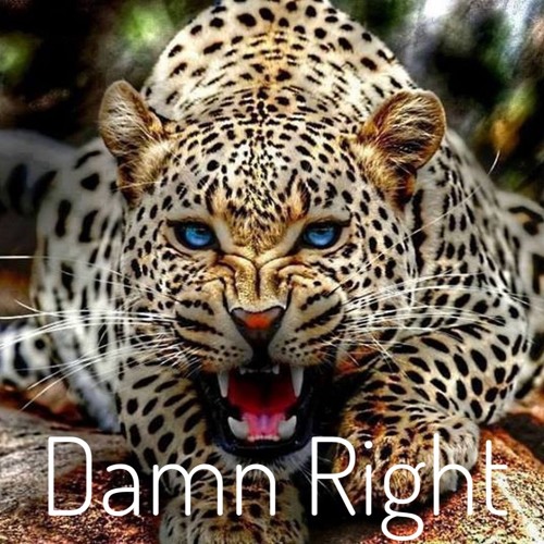 Damn Right