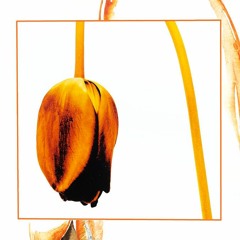 RSTLSS, RTBL, & DSCNTD