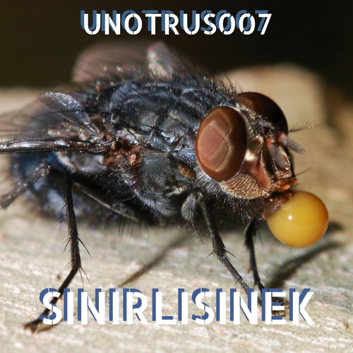 artworks-000469493730-yl0nkk-t500x500.jpg