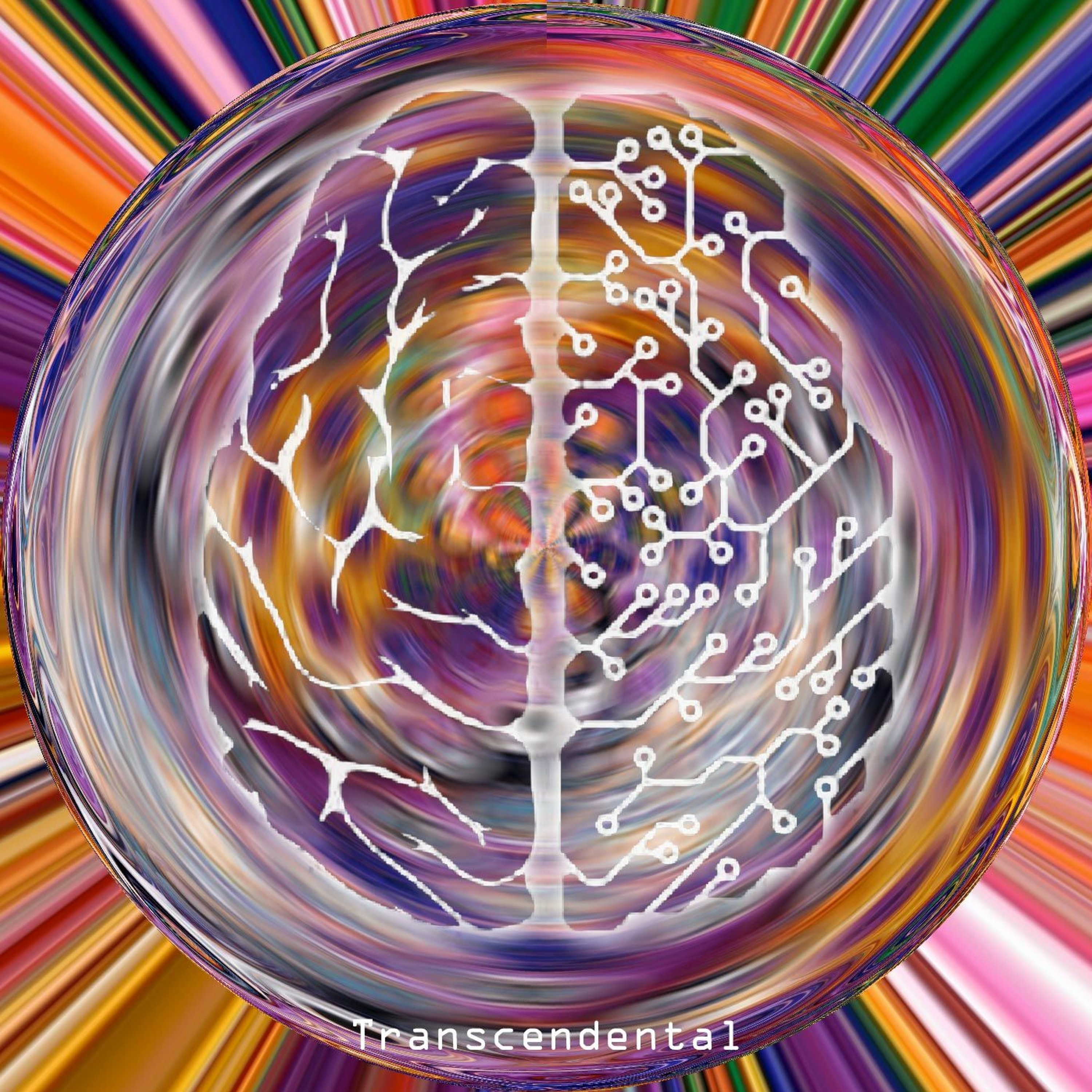 Transcendental episode artwork