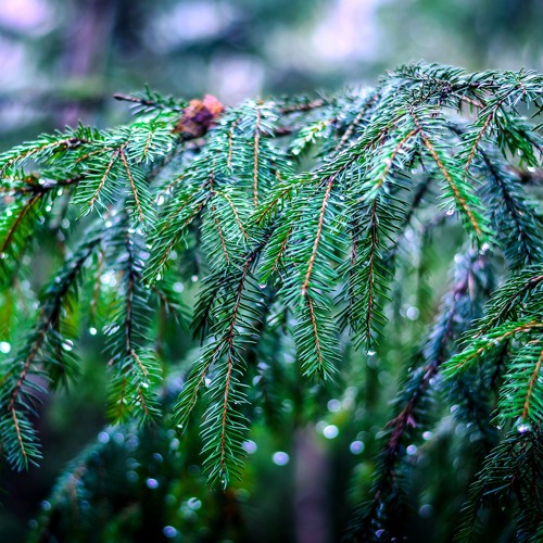 Tomek - Deep Afterhour Nr. 327