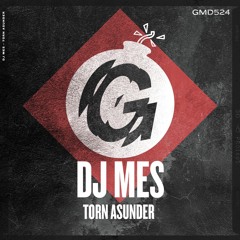 DJ Mes - Torn Asunder