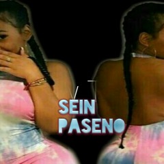 Sein paseno