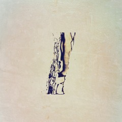 Eggbox - Marble Skin