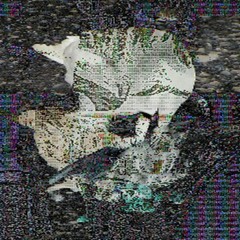 Death Grips - Face Melter(How to do impossible things)