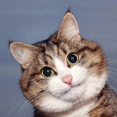 SLOWLY PROJECT FEAT SIR_IYAI - ONLY YOU(MP3_128K).mp3