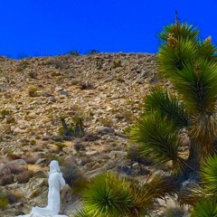 Man On His Knees On His Phone