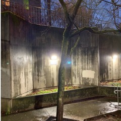 TooMuchColdBrewBeforeClassToday