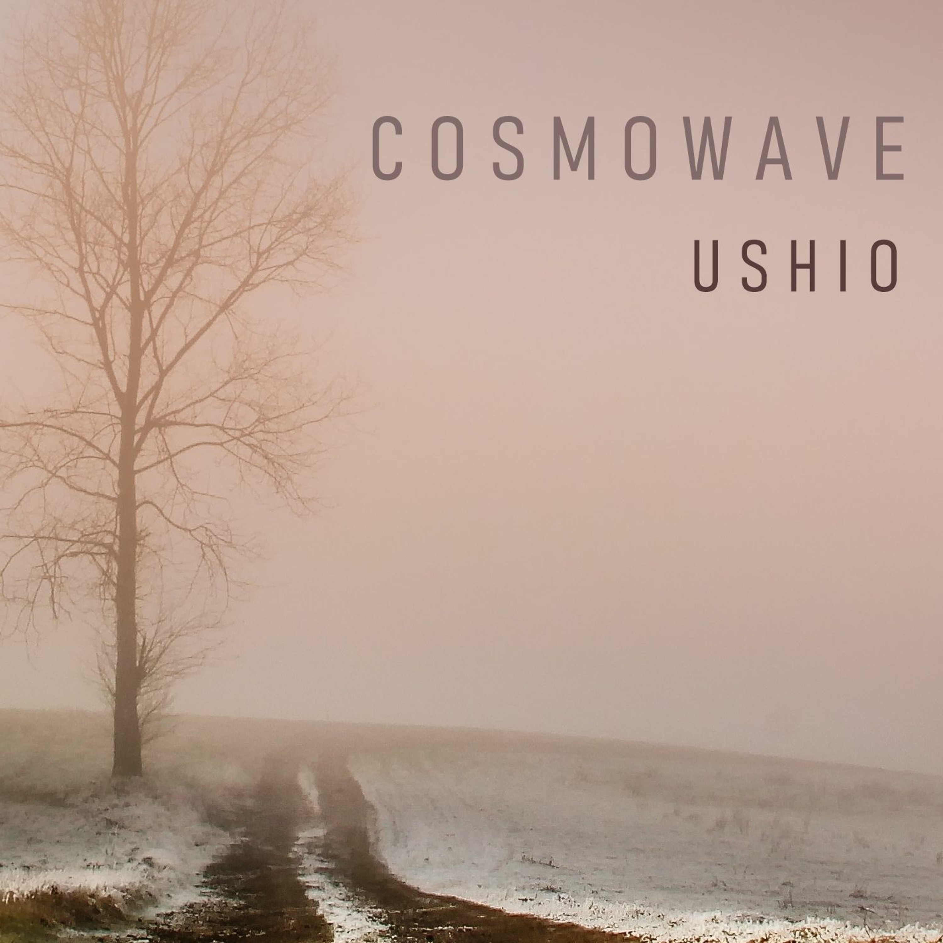 cosmowave