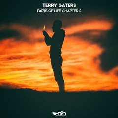 Terry Gaters - You Loved Me The Way I Did [Synth Collective]