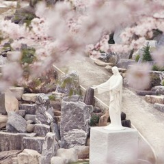 H - 8 聖地中的百合花啊(中文demo)