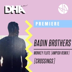 Premiere: Badin Brothers - Monkey Flute (Ampish Remix) [Crossings]