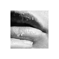 Premiere: PVNV – Squal [Intimate Silence]