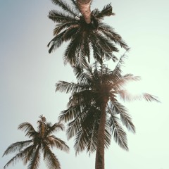 Montril - Get Right Remix [FREE DL]